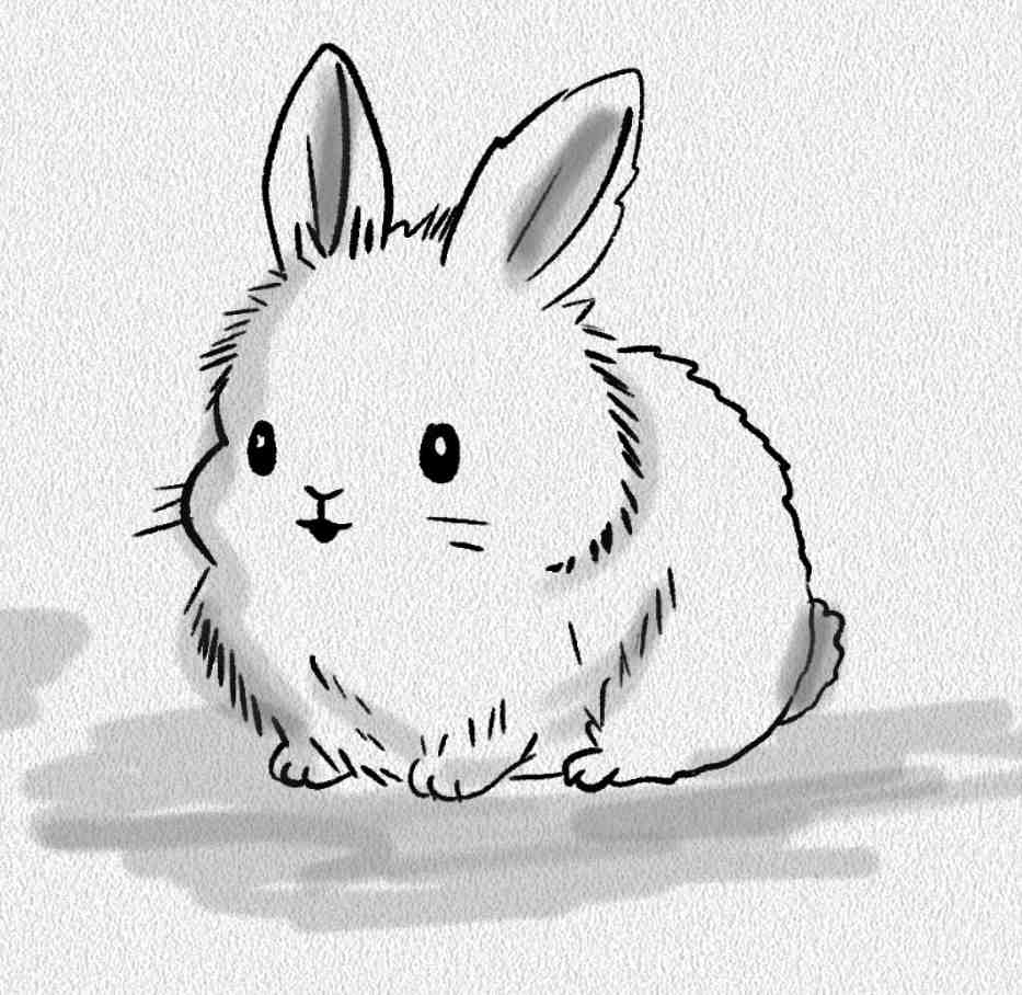 Fluffy Bunny