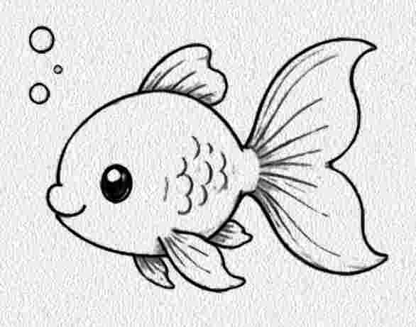 Goldfish