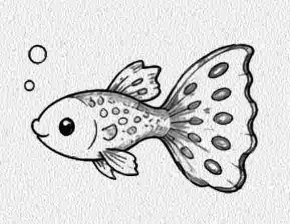 Guppy