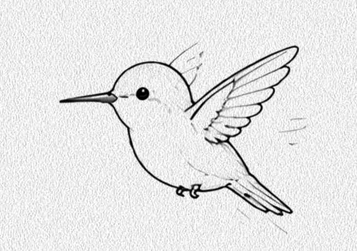 Hummingbird