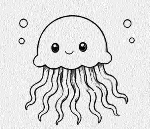 Jellyfish