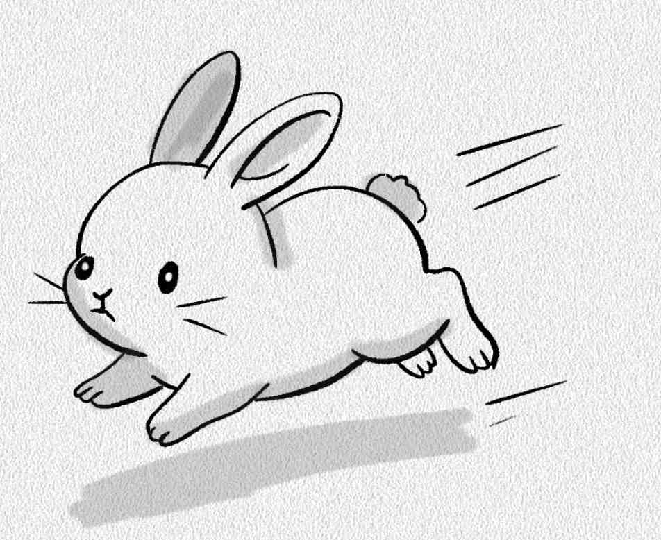 Jumping Bunny