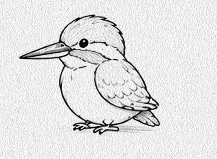 Kingfisher
