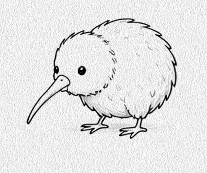 Kiwi