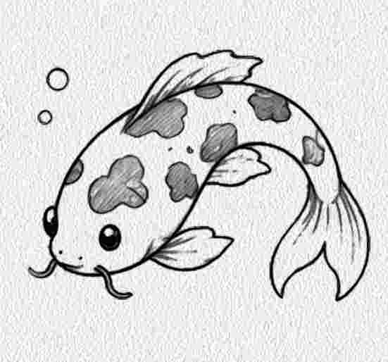 Koi Fish