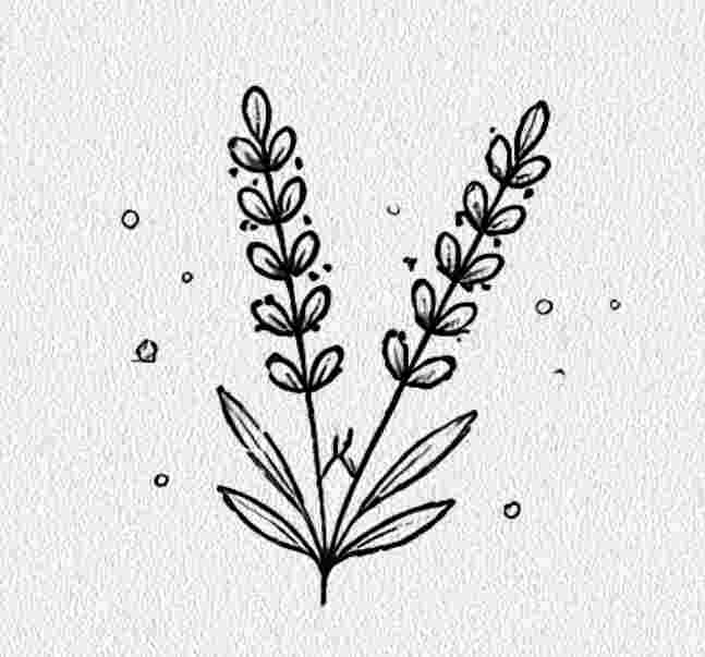 Lavender Sprig