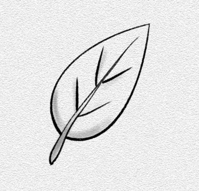 Leaf