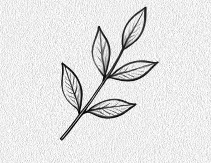 Leafy Branch