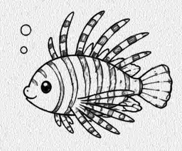 Lionfish