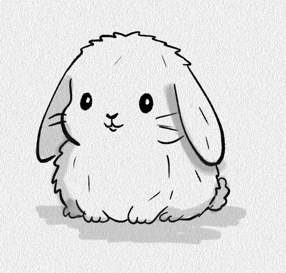 Lop Eared Bunny