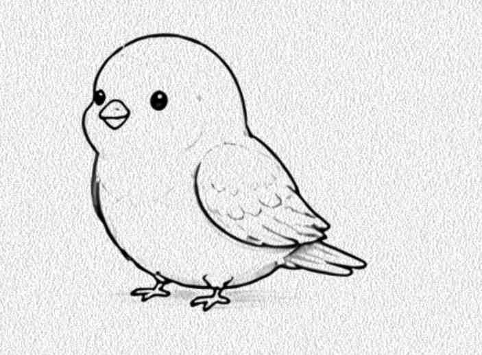 Lovebird