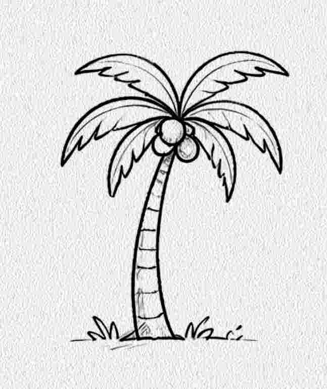 Palm Tree