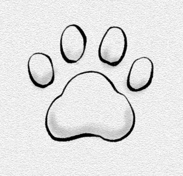Paw Print