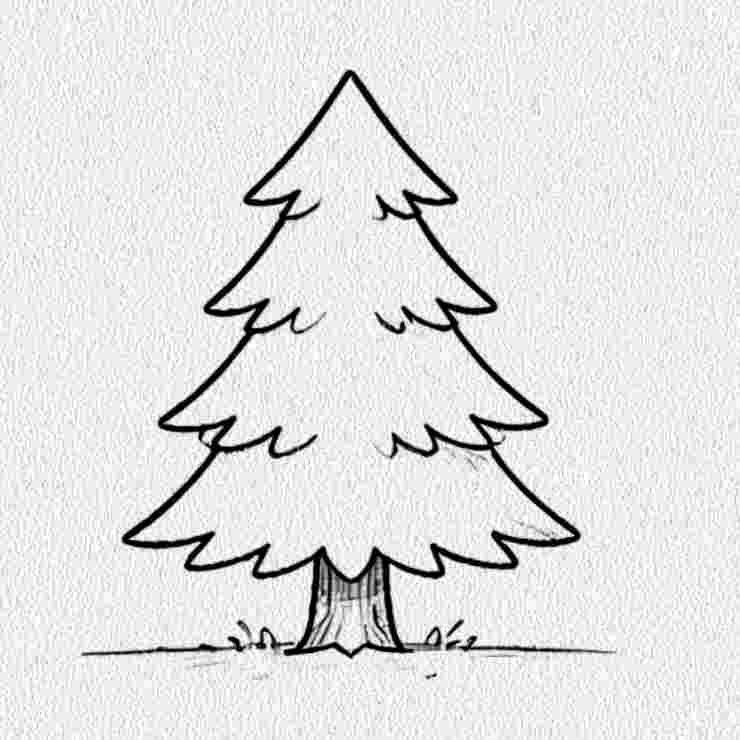 Pine Tree