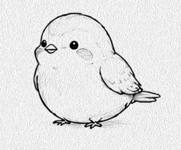 Robin