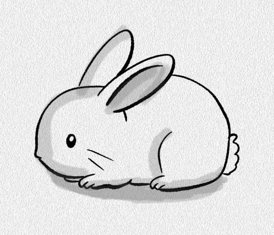 Round Bunny