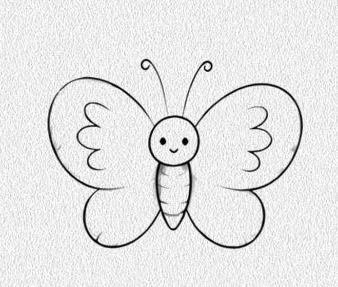 Rounded Wings