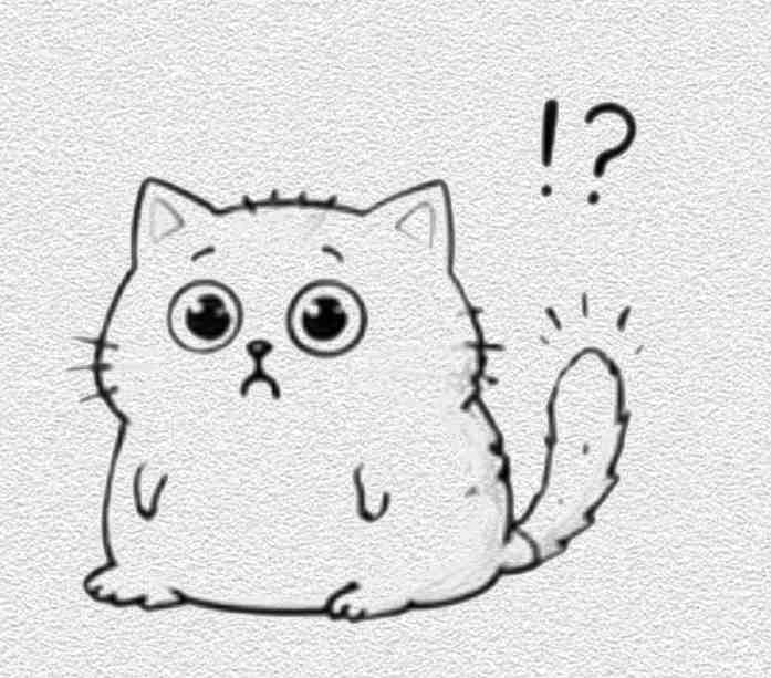 Shocked Cat