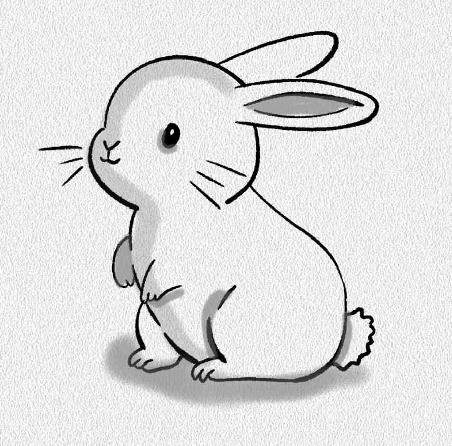 Side View Bunny