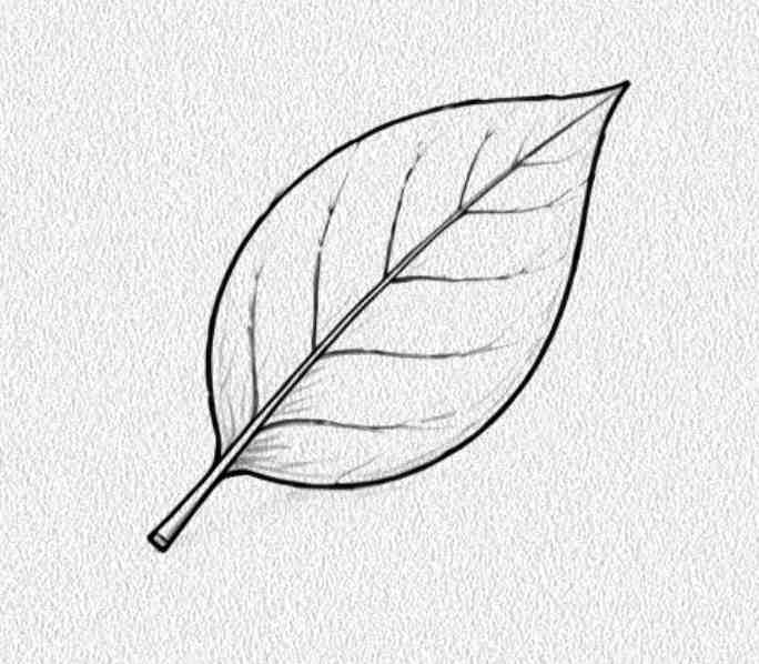 Simple Leaf