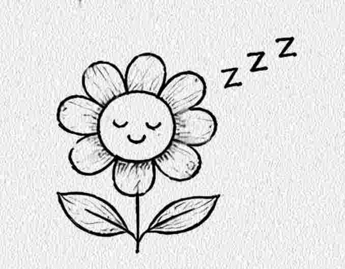 Sleeping Flower
