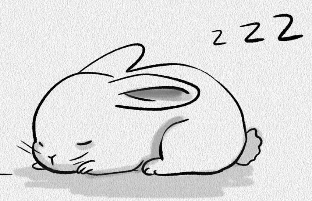Sleepy Bunny