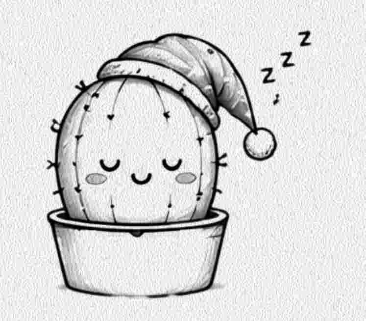 Sleepy Cactus