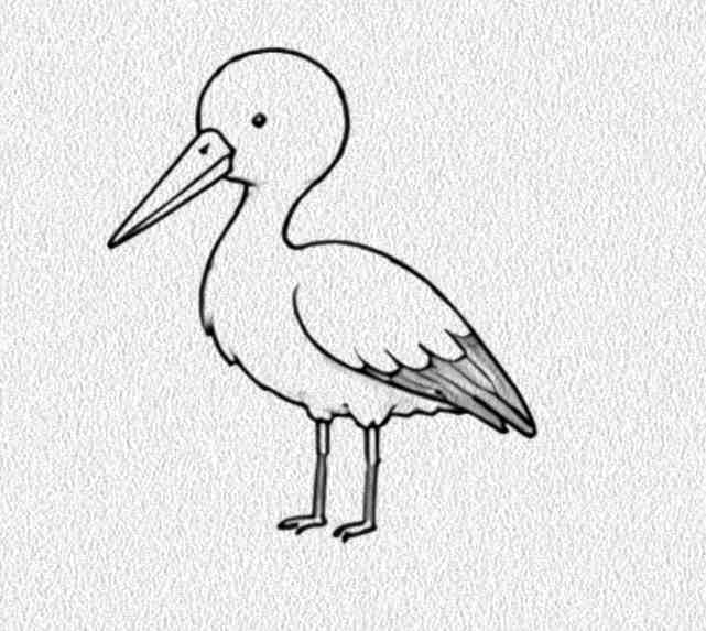 Stork