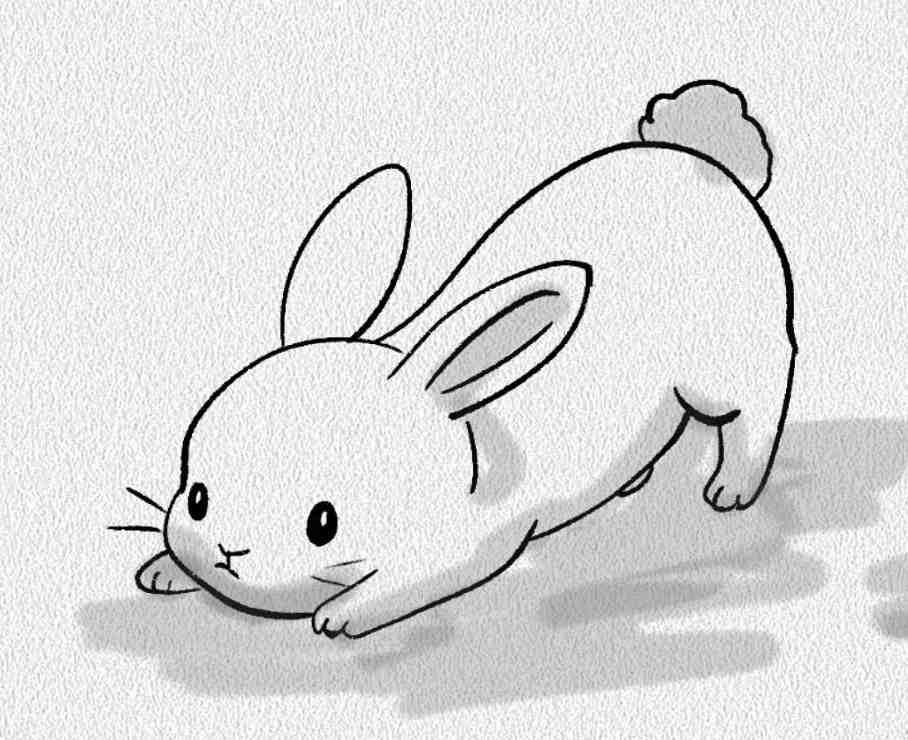 Stretching Bunny