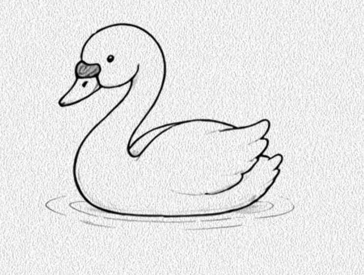 Swan