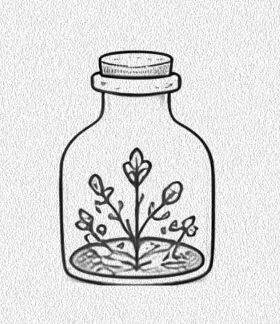 Terrarium