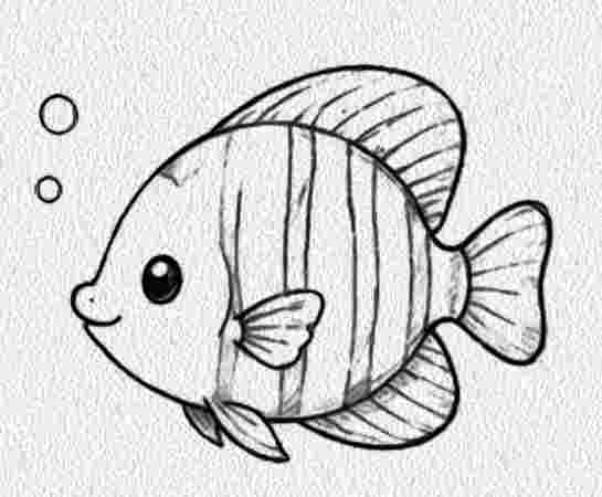 Tropical Fish