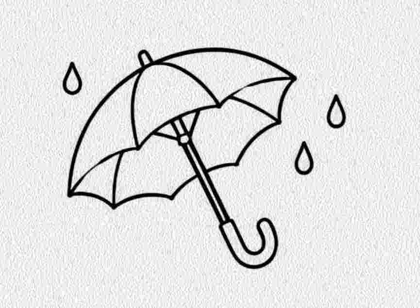 Umbrella