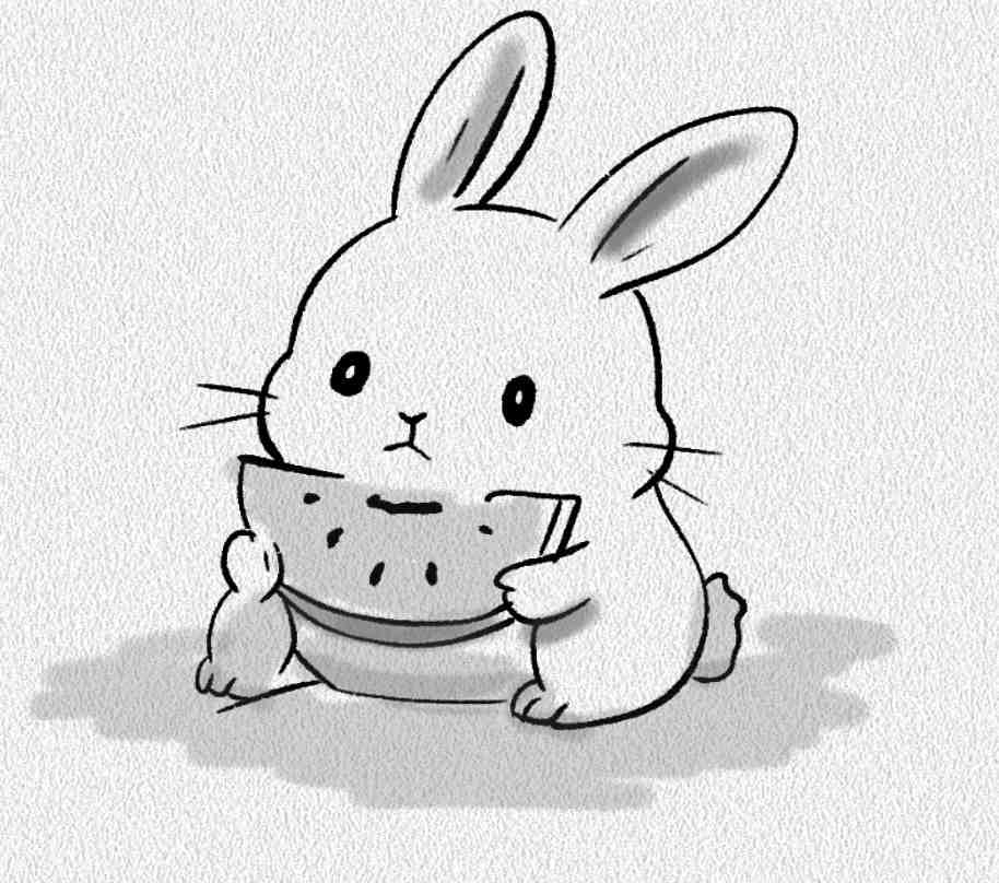 Watermelon Bunny