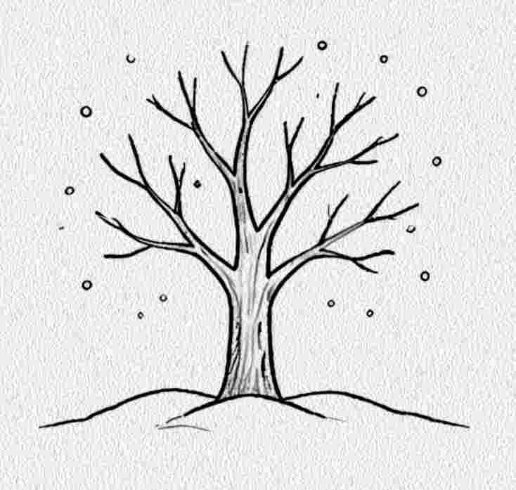 Winter Tree