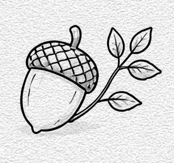 Acorn with Tiny Leaves