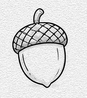 Acorn