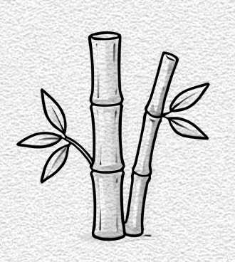 Bamboo Stalk