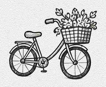 Bicycle Basket Details