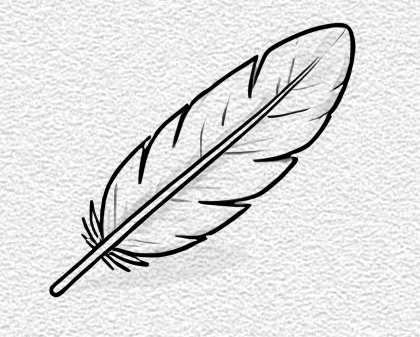 Bird Feather