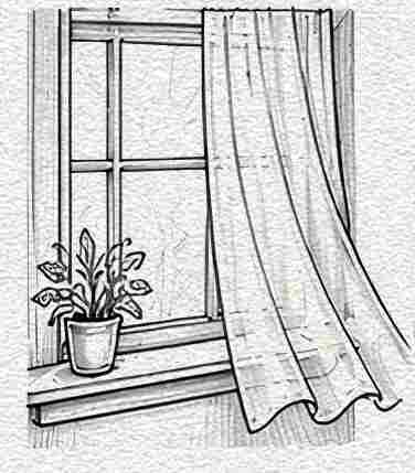 Curtain with Sunlight