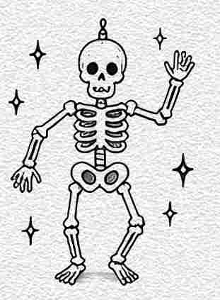 DIY Skeleton Wall Display
