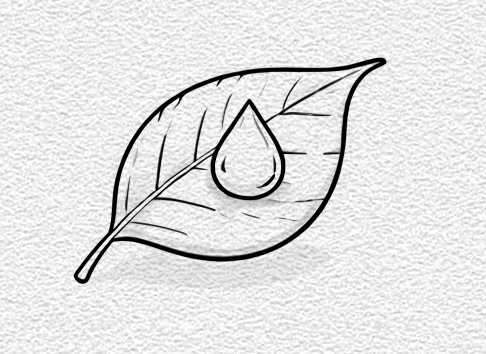 Dewdrop on a Leaf