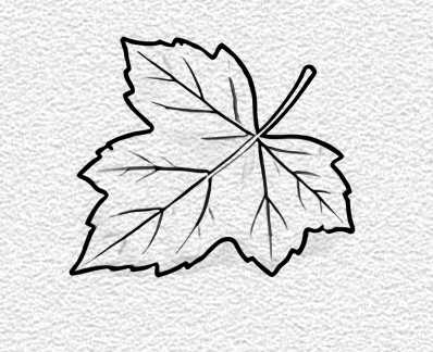 Fallen Leaf
