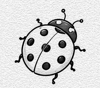 Ladybug