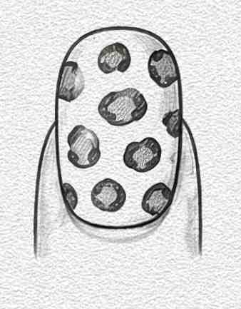 Leopard Print Nail