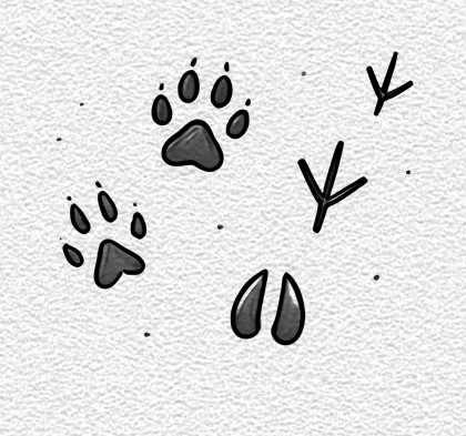 Nature Footprints
