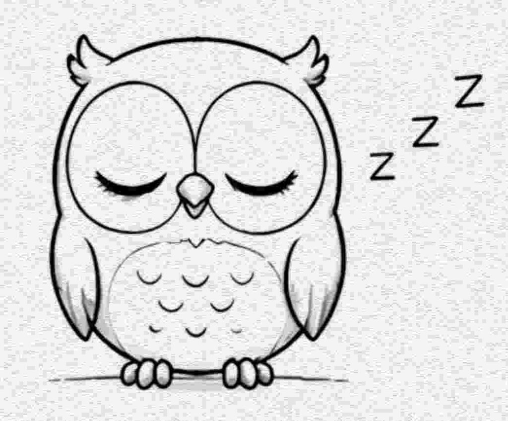 Owl with Sleepy Eyes