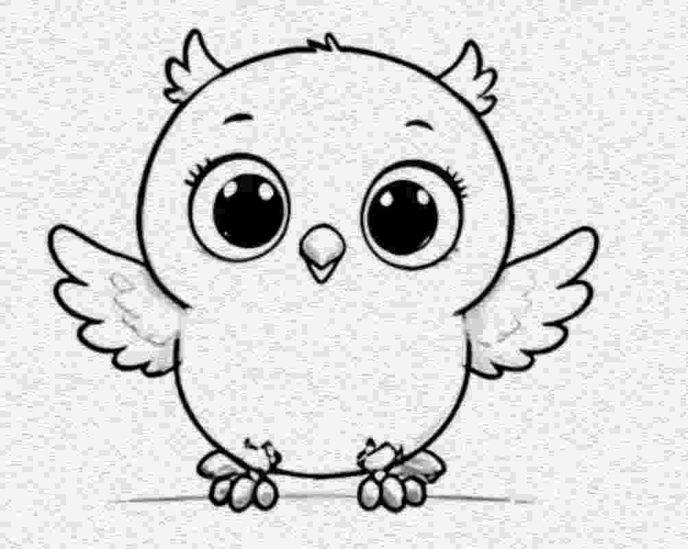 Owl with Tiny Wings