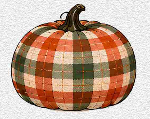 Pumpkin with Plaid Pattern